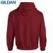 E161 Gildan Heavy Blend H