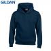 E161 Gildan Childrens Hoo