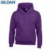 E161 Gildan Childrens Hoo