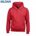 E161 Gildan Childrens Hoo
