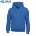 E161 Gildan Childrens Hoo