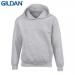 E161 Gildan Childrens Hoo