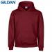 E161 Gildan Childrens Hoo