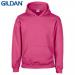 E161 Gildan Childrens Hoo