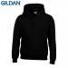 E161 Gildan Childrens Hoo