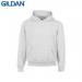 E161 Gildan Childrens Hoo