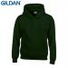 E161 Gildan Childrens Hoo