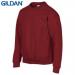 E159 Gildan Childrens Hea