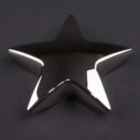 E143 Star Paperweight