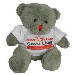 Cheap Stationery Supply of E136 Red Nose Bear with T Shirt 150mm Office Statationery