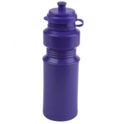 Cheap Stationery Supply of E133 250ml LUNCHBOXER Drinks Bottle Office Statationery