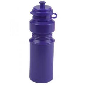 E133 250ml LUNCHBOXER Drinks Bottle