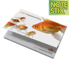 E054 NoteStix Card Cover Adhesive Pads 105 x 75mm