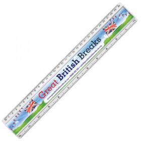 E051 12inch / 300mm Paper Insert Ruler